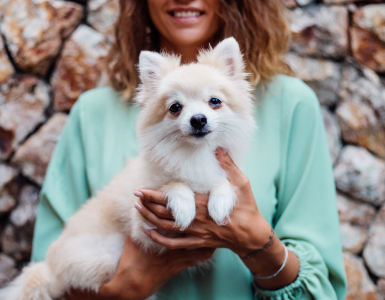 Kış Aylarında Evcil Hayvan Bakımı